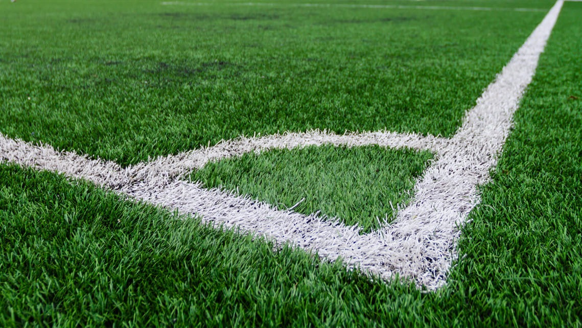 Sports grade grass – Hockey, Cricket, Football