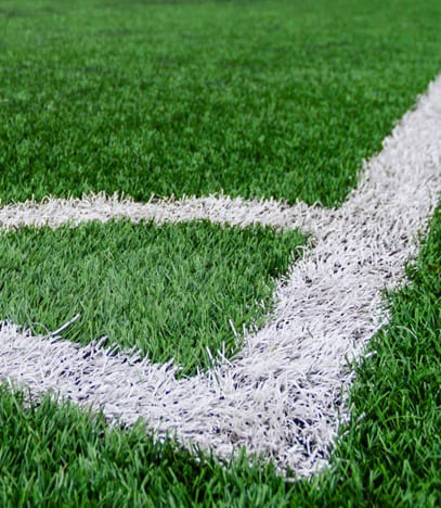 Sports grade grass – Hockey, Cricket, Football
